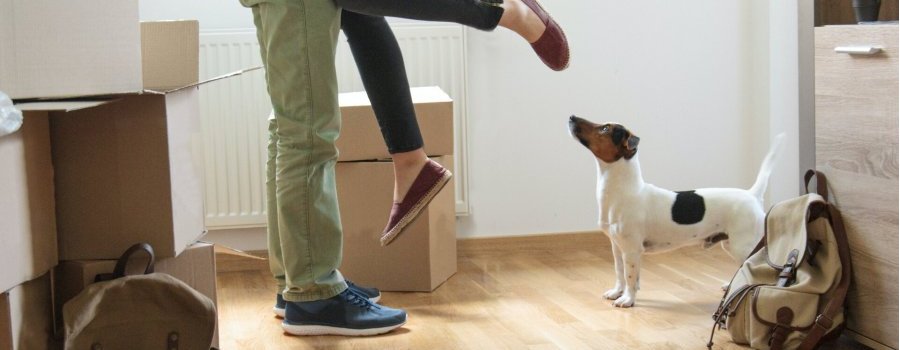 10 raisons de loger dans la Principauté